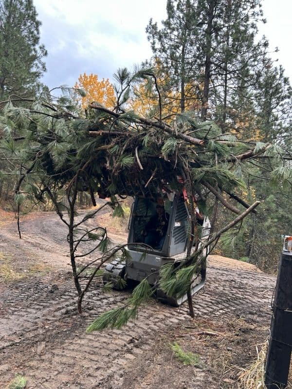 Gallery photos for Road Improvement and Clearing in Rockford WA: Image #2