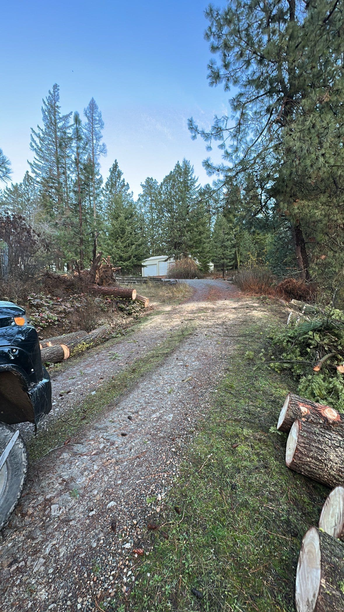 Project Carlin Bay Driveway Cleared for HOA Utility Access image